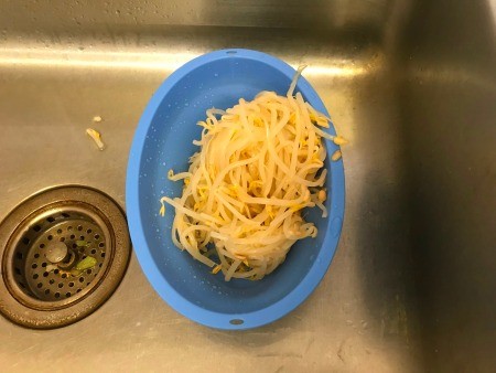 rinsed Bean Sprouts in colander