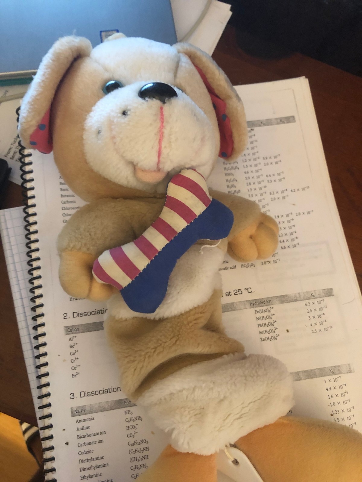Identifying a Stuffed Toy? ThriftyFun