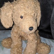Information on a Gund Stuffed Toy - stuffed dog