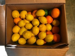 A box full of limes, lemons and oranges.
