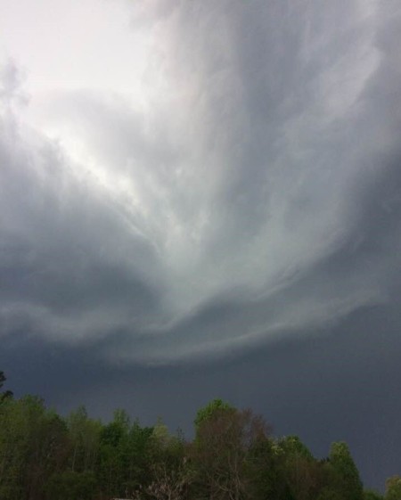 Storm Clouds - very dark clouds over the tree tops