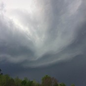 Storm Clouds - very dark clouds over the tree tops