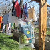 Protecting Clothespin Bag Left on Clothesline - dog food bag slipped over clothespin bag