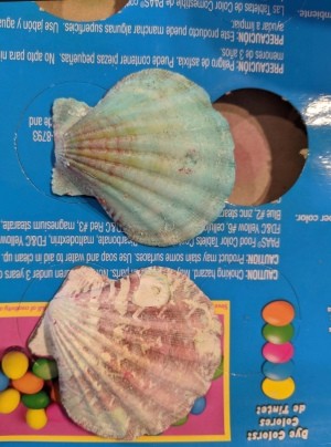 Use Leftover Egg Dye for Craft Projects - blue dyed shell next to an un-dyed scallop shell
