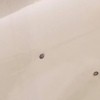 Identifying Small Black Biting Bugs -photo of two black bugs not very detailed image