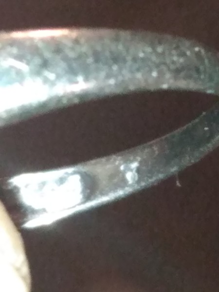 Identifying the Markings on an Old Diamond Ring - very out of focus image of a bird