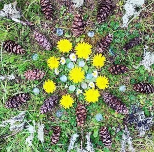 Natural Mandalas