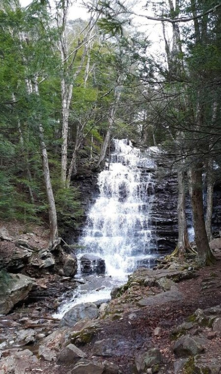 Buttermilk Falls - woodland waterfall