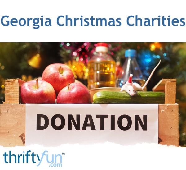 Georgia Christmas Charities  My Frugal Christmas