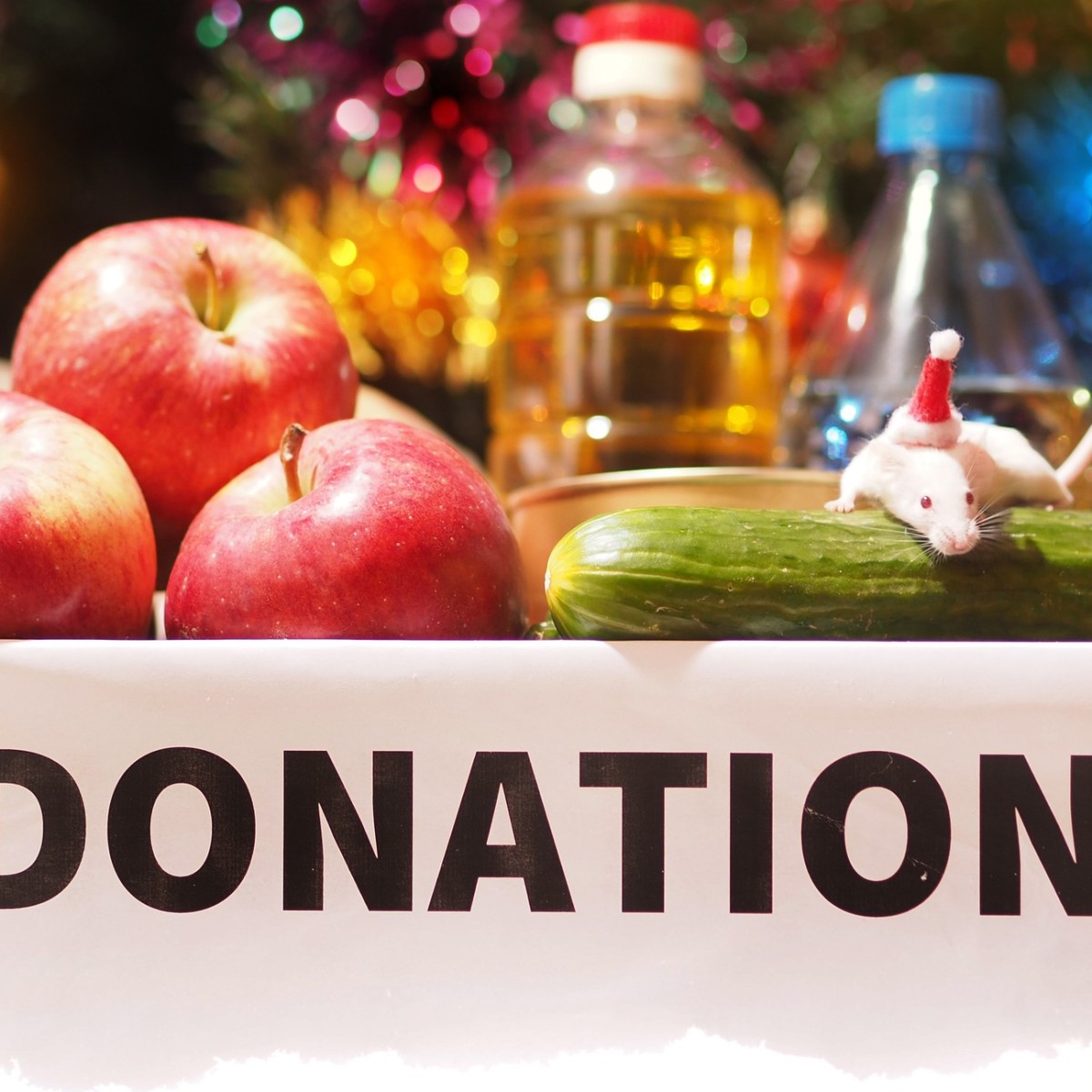 charities to give for christmas gifts