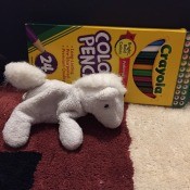 Identifying My Tiny Plush Horse - horse next to a box of colored pencils