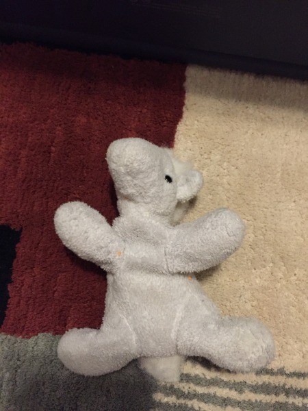 Identifying My Tiny Plush Horse