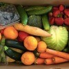 A box of fresh produce; carrots, zucchini, strawberries, cabbage, etc.