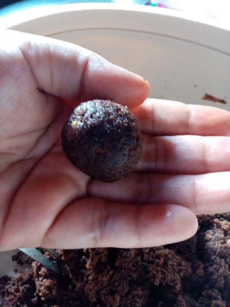 chocolate cake ball