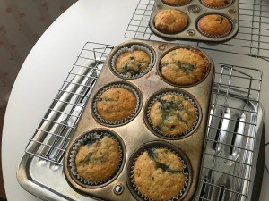 baked Pancake Mix Muffins in tins