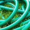 A garden hose on the lawn.