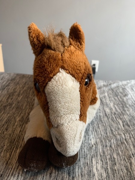 Identifying a Horse Stuffed Animal