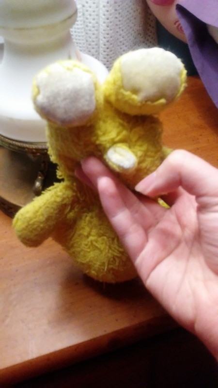 Identifying a Stuffed Lamb Toy