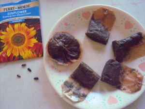 Several used tea bags next to a package of sunflower seeds.