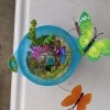 A small sand terrarium with butterflies around.