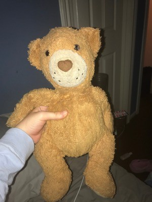 Identifying a Stuffed Animal