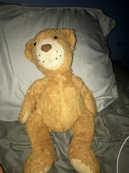 Identifying a Stuffed Animal - stuffy lying on a pillow