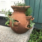 A strawberry pot filled with herbs on a front doorstep.