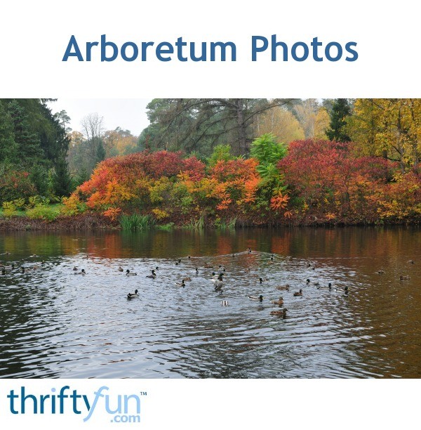 Arboretum Photos ThriftyFun