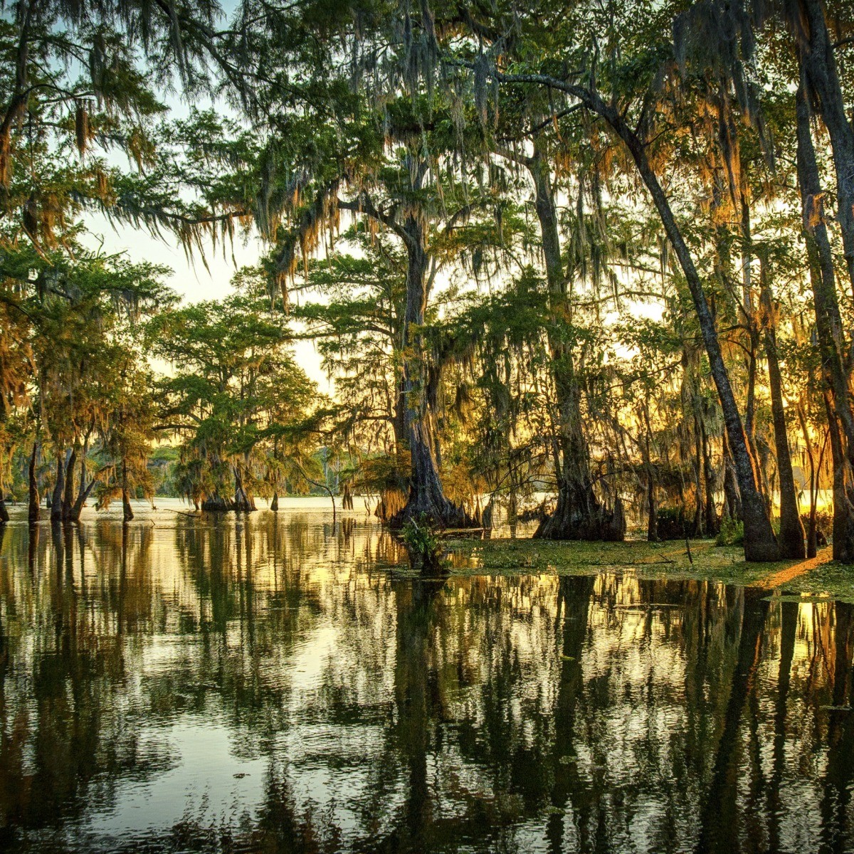 Луизиана климат