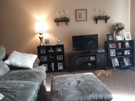 Curtain Color Advice to Complement Beige Walls - living room