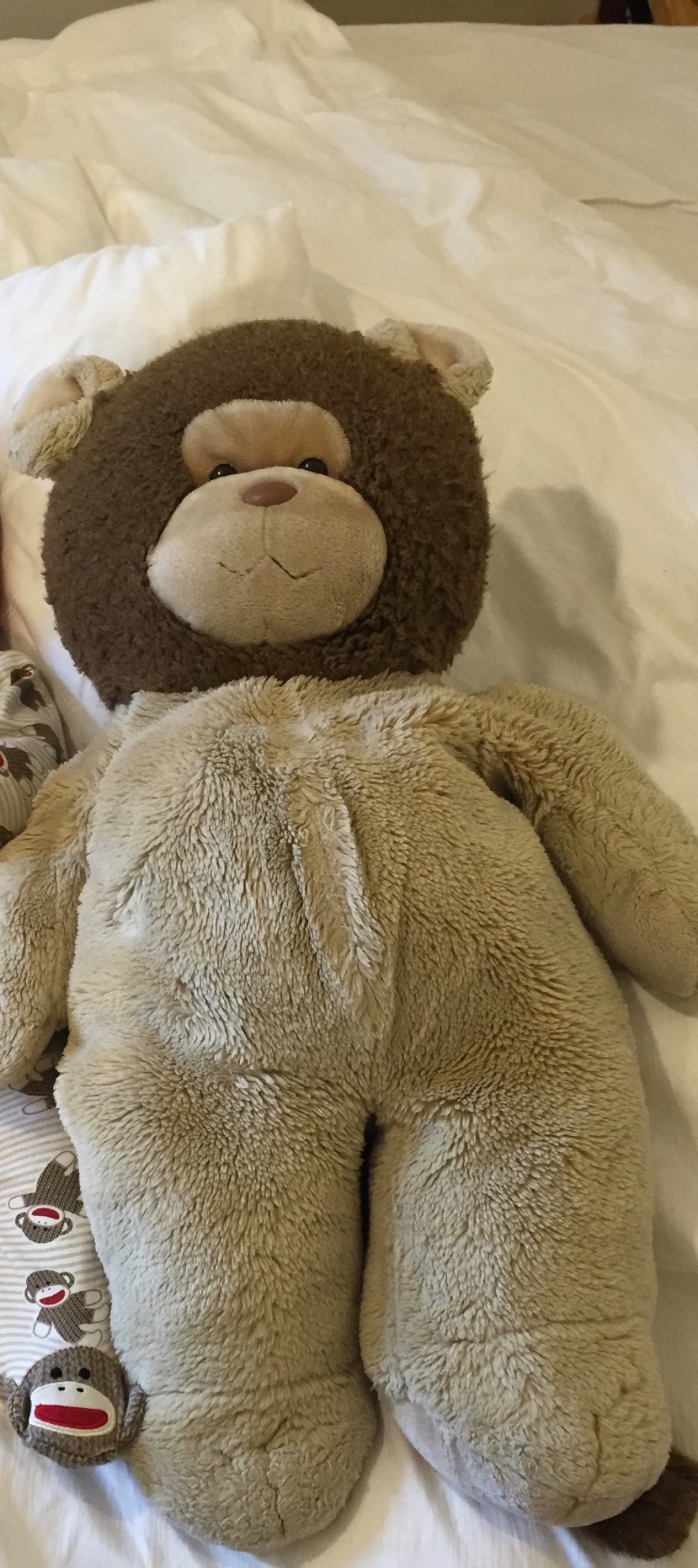 a stuffed bear