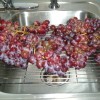 A cooling rack being used to drip dry grapes.