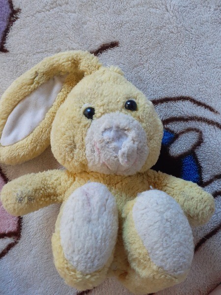 stuffed yellow bunny