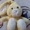 Identifying a Stuffed Toy Bunny - stuffed yellow bunny, missing its left ear and nose