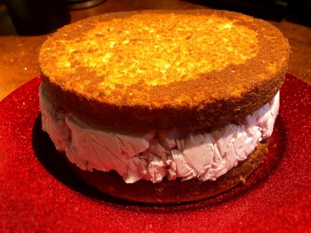 Cake layers sandwiching an ice cream layer.