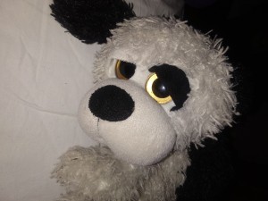 Identifying a Stuffed Animal - closeup of what appears to be a black and white stuffed dog