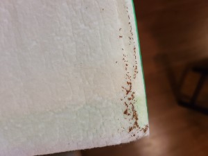 Identifying Small Brown Bugs - tiny brown bugs on a paper towel perhaps