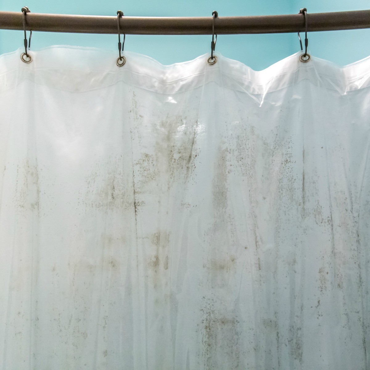 Using a Shower Curtain Liner | ThriftyFun