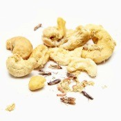 Bugs in cashews on a white background.