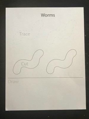Trace, Cut, and Draw (Worm) - worksheet