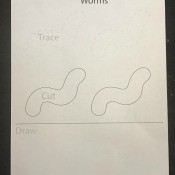 Trace, Cut, and Draw (Worm) - worksheet
