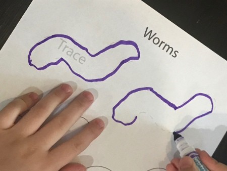 Trace, Cut, and Draw (Worm) - child tracing the worm outlines with a purple marker
