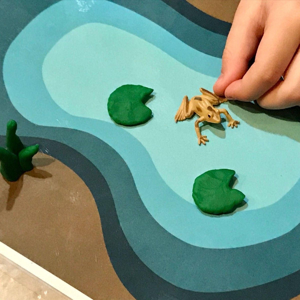 froggy splash mat