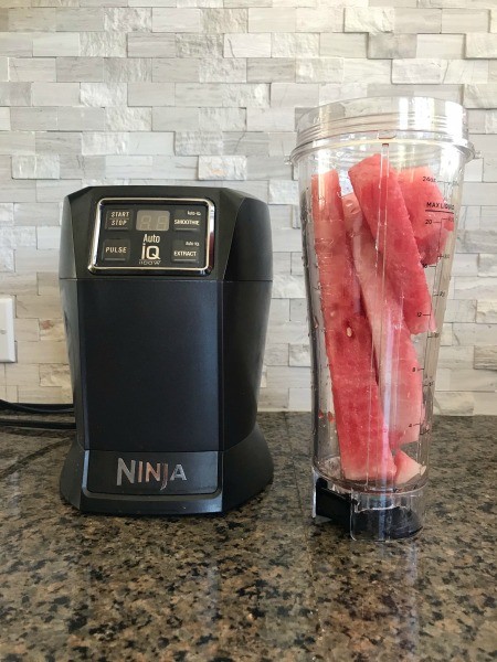 A blender with watermelon pieces inside.