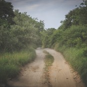 An unpaved country road.