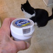 Gum Container for Cat Treats - hand holding the container of treats with a black and white cat in the background