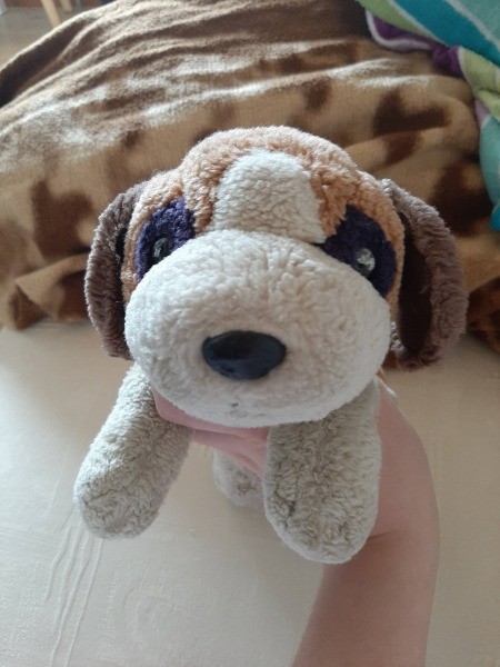 a stuffed dog