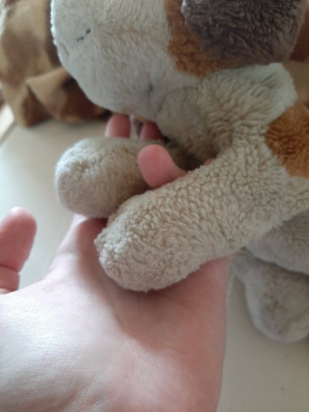 A close up of a stuffed dog.