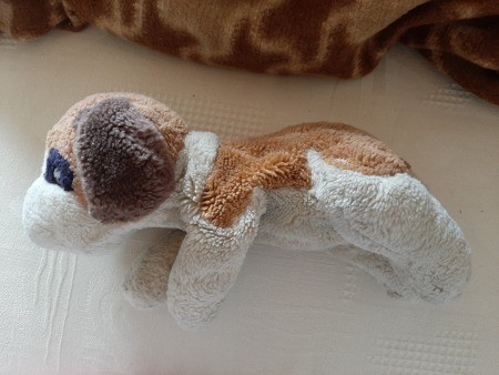 A stuffed dog on its side.