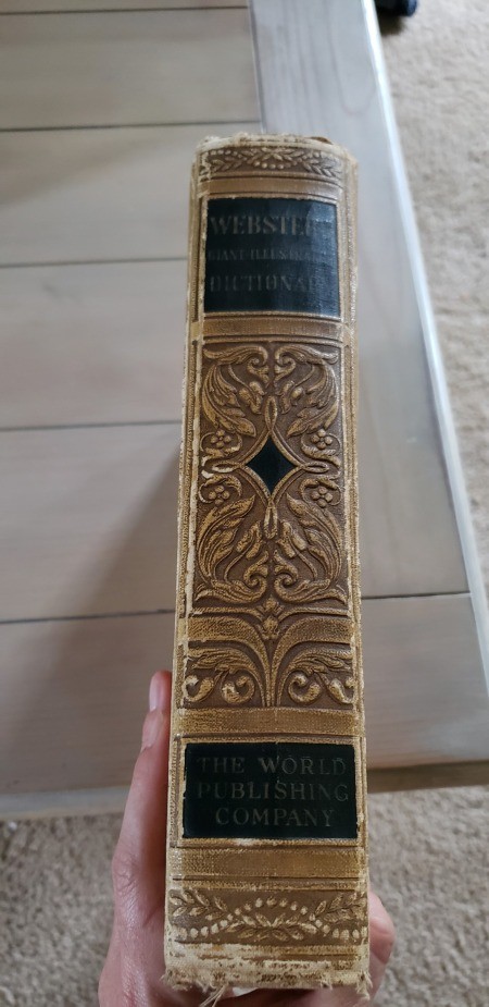 The spine of an old Webster's dictionary.